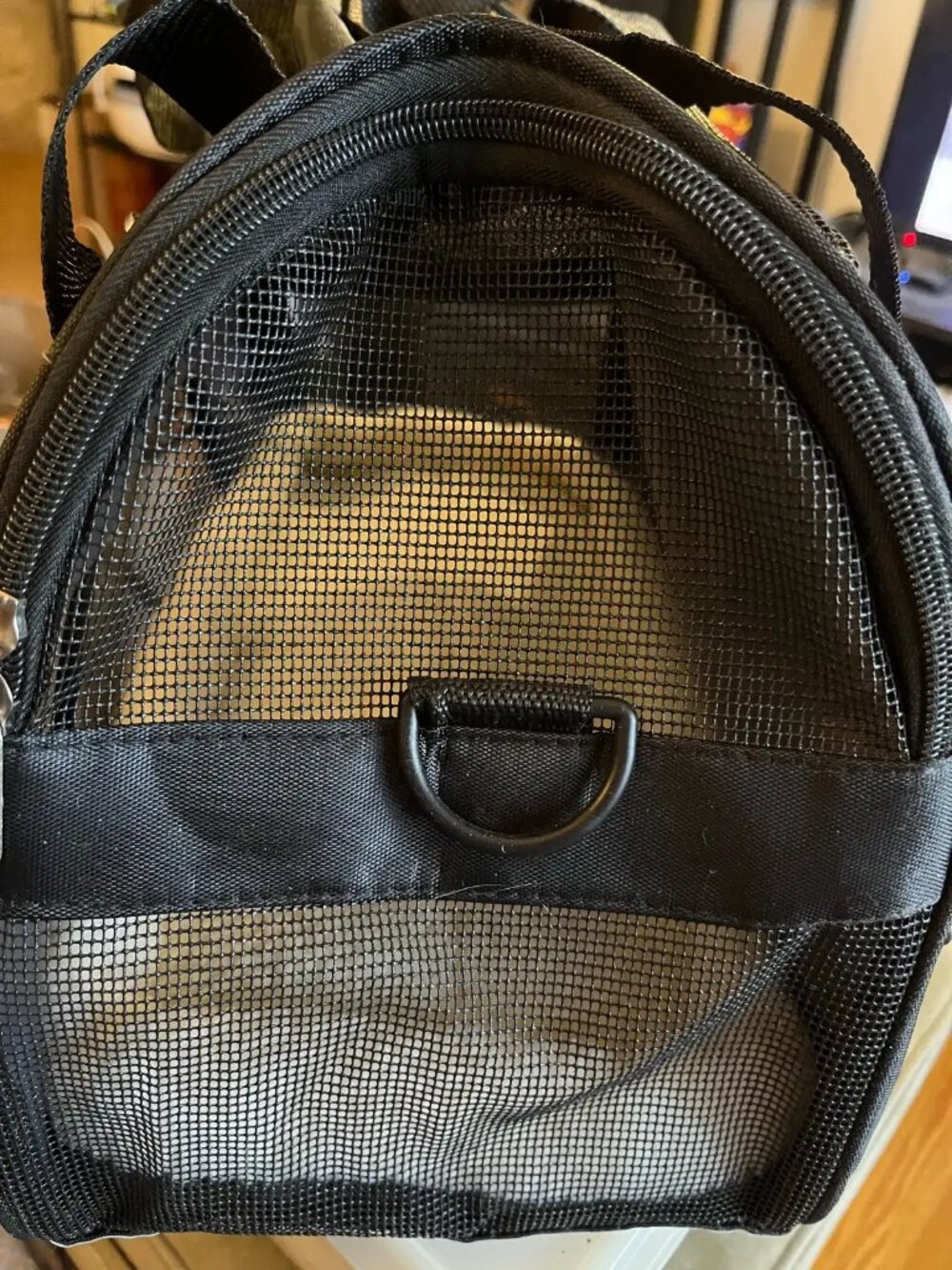 Small Pet Carrier - Leather with Sherpa bed